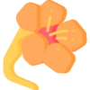 6T体育 logo